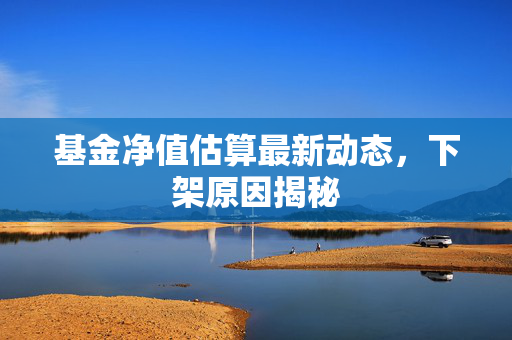 基金净值估算最新动态，下架原因揭秘