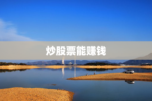 炒股票能赚钱
