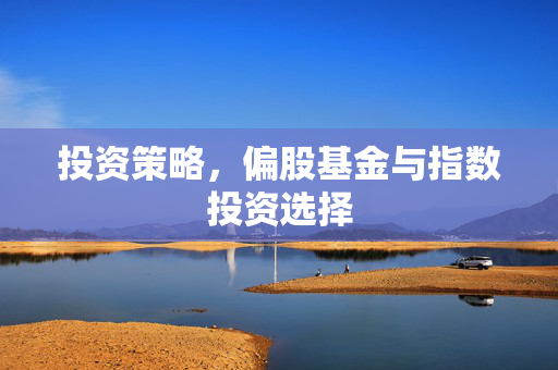 投资策略，偏股基金与指数投资选择