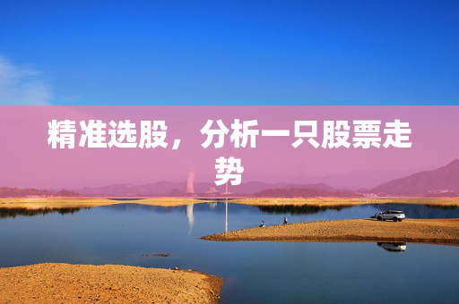 精准选股，分析一只股票走势