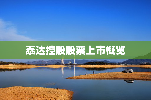 泰达控股股票上市概览
