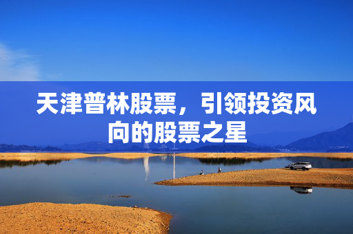 天津普林股票，引领投资风向的股票之星