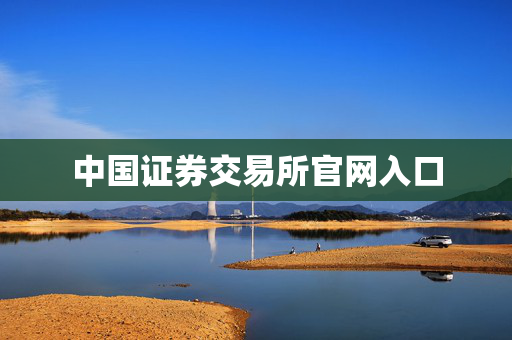 中国证券交易所官网入口