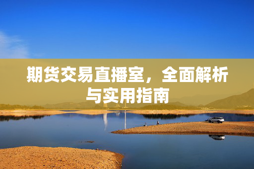 期货交易直播室，全面解析与实用指南