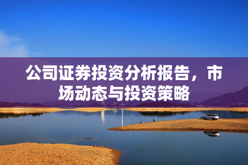 公司证券投资分析报告，市场动态与投资策略