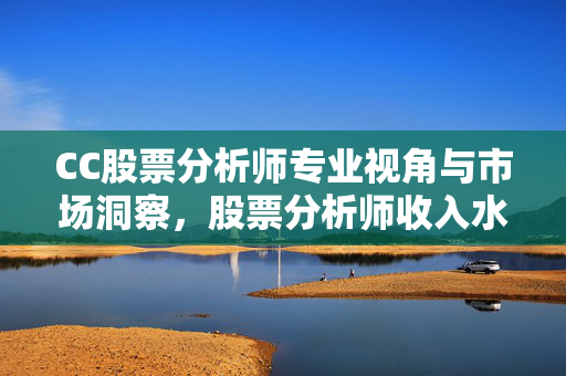 CC股票分析师专业视角与市场洞察，股票分析师收入水平探讨