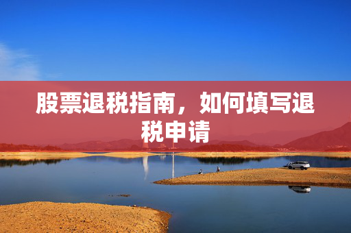 股票退税指南，如何填写退税申请