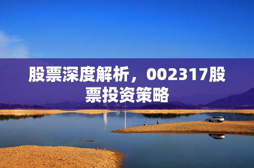 股票深度解析，002317股票投资策略