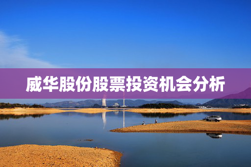 威华股份股票投资机会分析