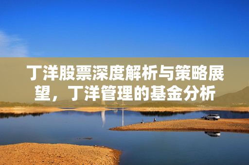 丁洋股票深度解析与策略展望，丁洋管理的基金分析