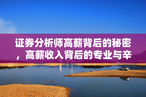证券分析师高薪背后的秘密，高薪收入背后的专业与辛勤付出