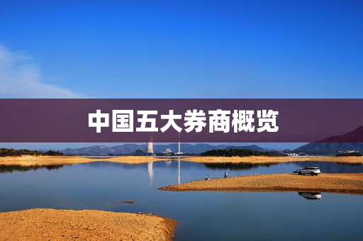 中国五大券商概览