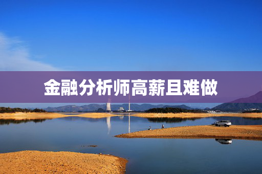 金融分析师高薪且难做