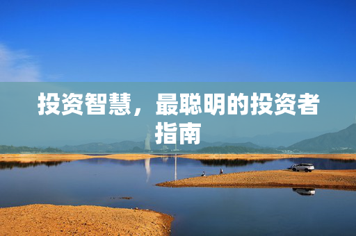 投资智慧，最聪明的投资者指南