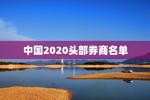 中国2020头部券商名单
