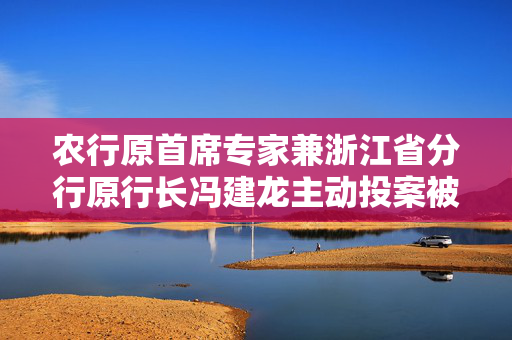 农行原首席专家兼浙江省分行原行长冯建龙主动投案被查