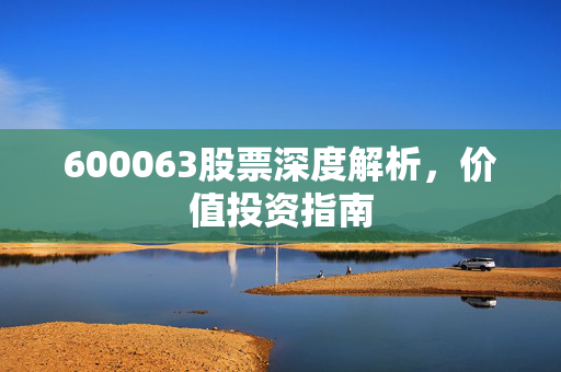600063股票深度解析，价值投资指南