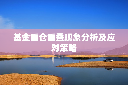 基金重仓重叠现象分析及应对策略