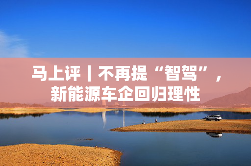 马上评｜不再提“智驾”，新能源车企回归理性