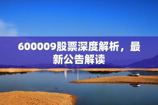 600009股票深度解析，最新公告解读
