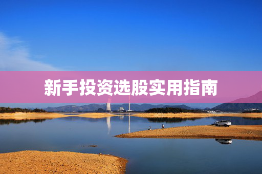 新手投资选股实用指南