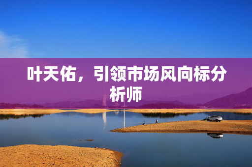 叶天佑，引领市场风向标分析师