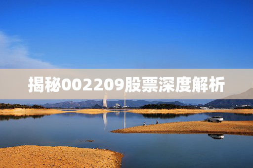 揭秘002209股票深度解析