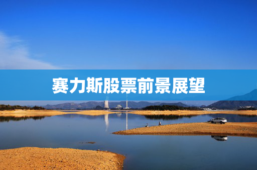 赛力斯股票前景展望