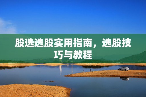 股选选股实用指南，选股技巧与教程
