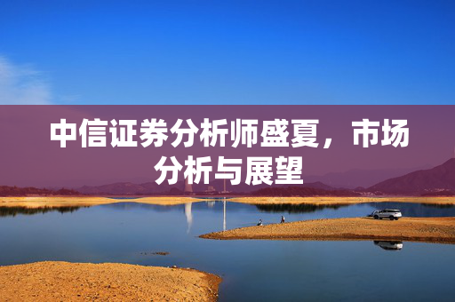 中信证券分析师盛夏，市场分析与展望