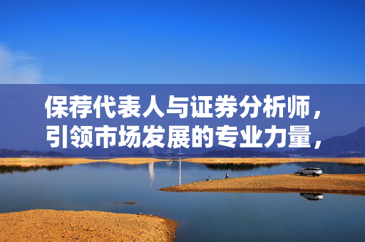 保荐代表人与证券分析师，引领市场发展的专业力量，券商保荐代表人能力与职责