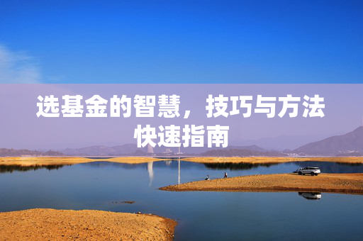 选基金的智慧，技巧与方法快速指南