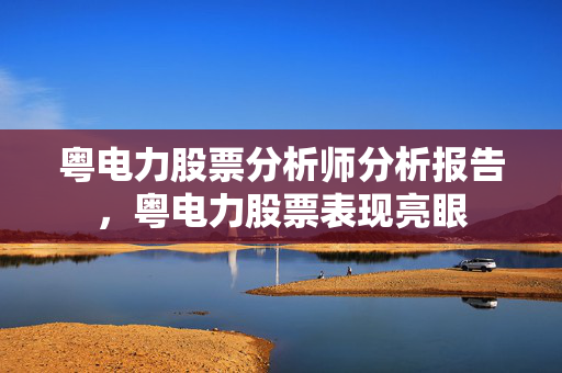 粤电力股票分析师分析报告，粤电力股票表现亮眼