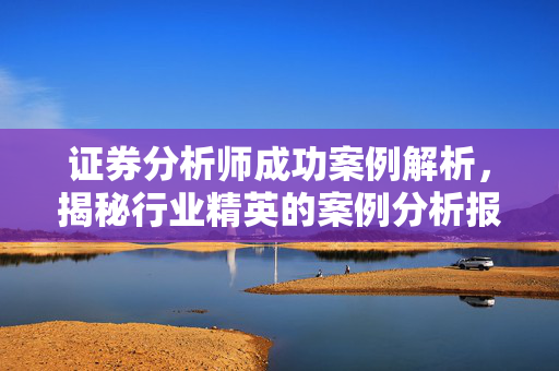 证券分析师成功案例解析，揭秘行业精英的案例分析报告
