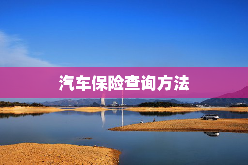 汽车保险查询方法