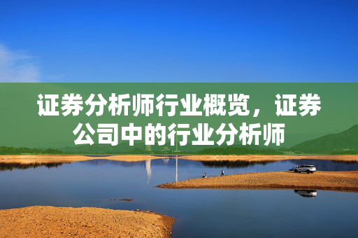 证券分析师行业概览，证券公司中的行业分析师