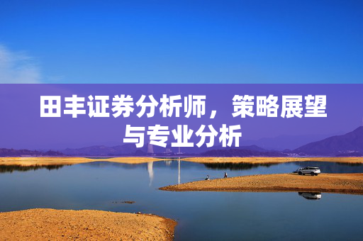 田丰证券分析师，策略展望与专业分析