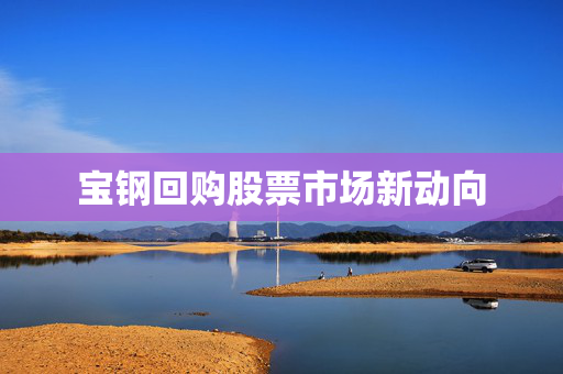 宝钢回购股票市场新动向