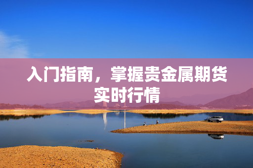 入门指南，掌握贵金属期货实时行情