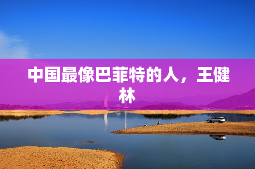 中国最像巴菲特的人，王健林