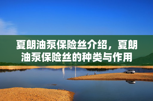 夏朗油泵保险丝介绍，夏朗油泵保险丝的种类与作用