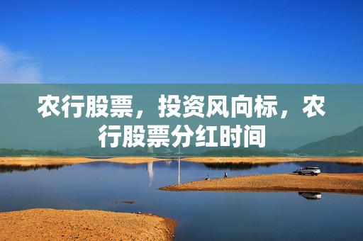 农行股票，投资风向标，农行股票分红时间