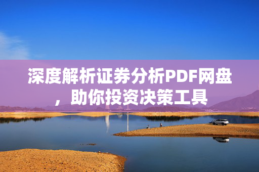 深度解析证券分析PDF网盘，助你投资决策工具