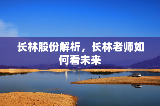 长林股份解析，长林老师如何看未来