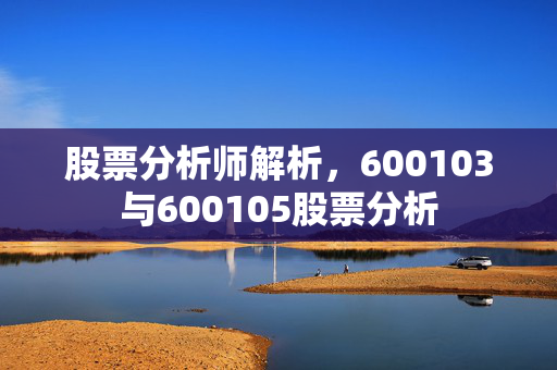 股票分析师解析，600103与600105股票分析