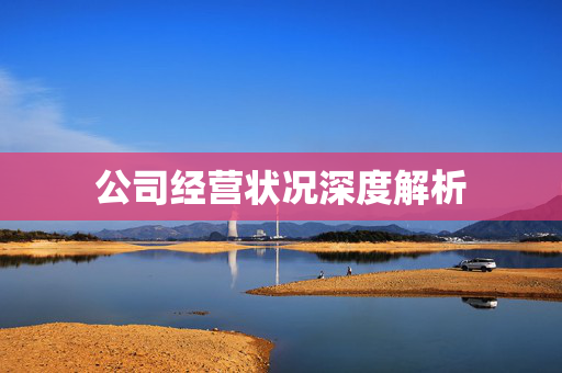 公司经营状况深度解析