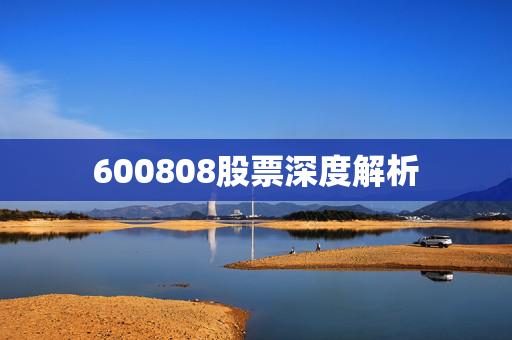 600808股票深度解析