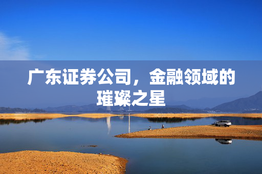广东证券公司，金融领域的璀璨之星