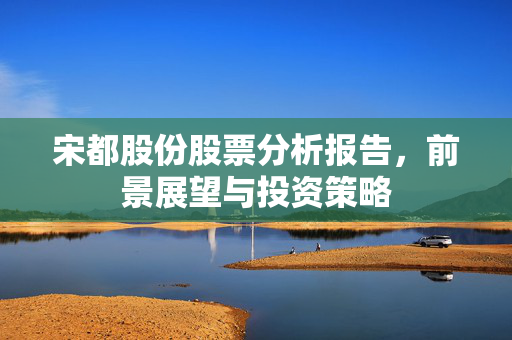 宋都股份股票分析报告，前景展望与投资策略