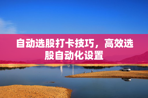 自动选股打卡技巧，高效选股自动化设置